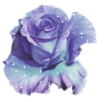 45rose