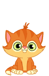 52cat